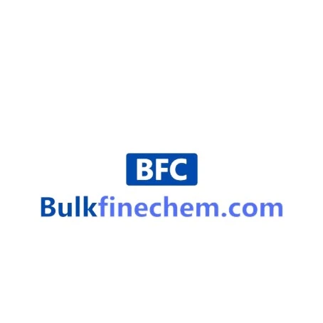 Website Logo